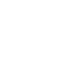 t4t tree services